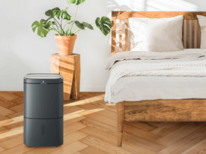 Đặt máy hút ẩm ở đâu hiệu quả nhất?