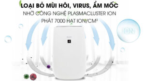 Muốn mua máy lọc không khí Sharp giá ngon bổ rẻ